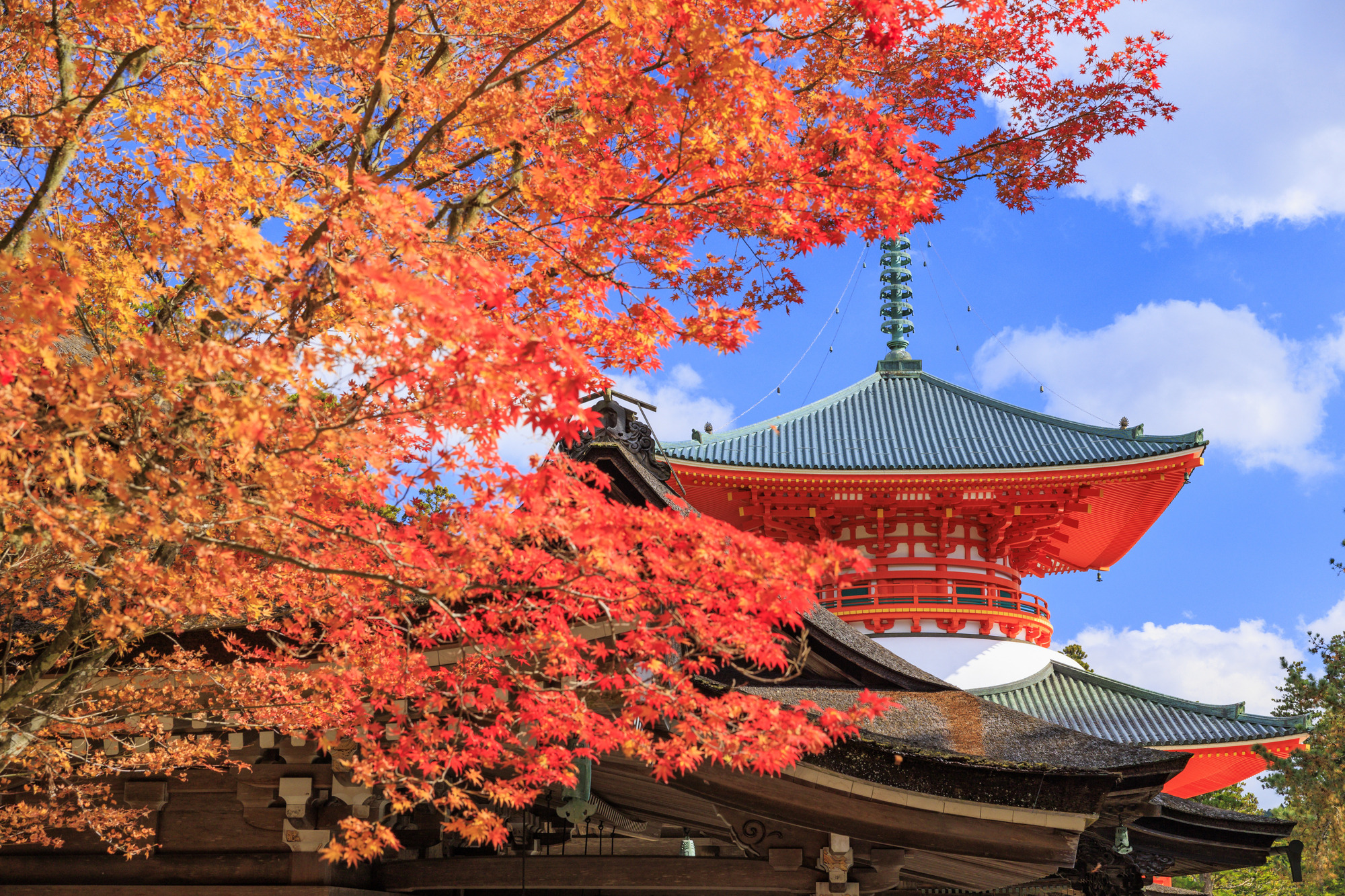Osaka Kyoto 2