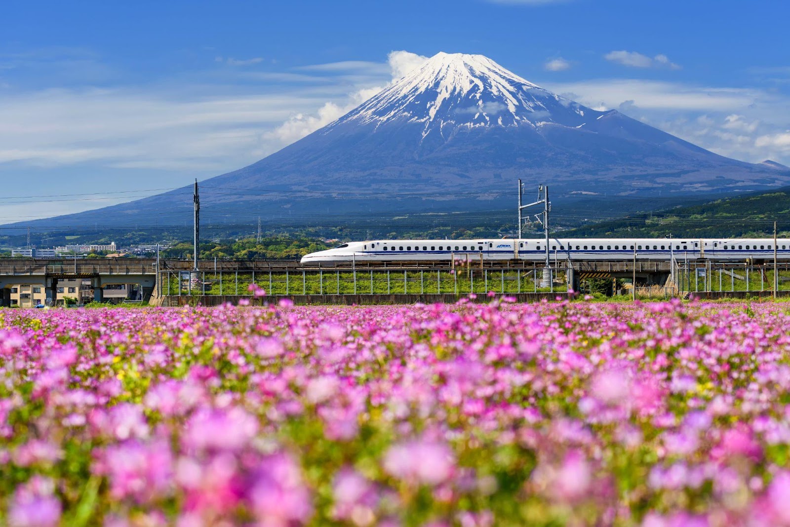 tokyo fuji 2