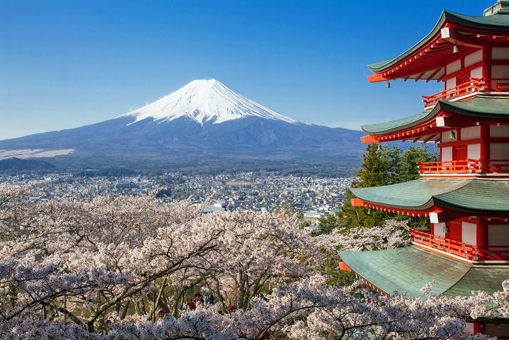 tokyo fuji